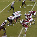 Garnet Williams Photo 16