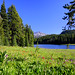 Todd Crisp Photo 10