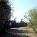 Susan Dougherty Photo 18