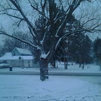 Allen Palmer Photo 28
