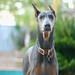 Zelda Bell Photo 8