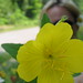 Lisa Flowers Photo 17