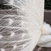 John Peacock Photo 19