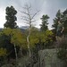 Steve Meadows Photo 20
