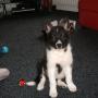 Ray Potts Photo 21