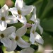 Karen Bloomer Photo 12