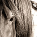 Amanda Manes Photo 10