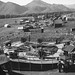 Harold Fair Photo 15