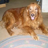 Barbara Peck Photo 16