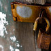 Ann Rust Photo 11