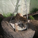 Martha Lea Photo 7