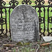 Martha Morgan Photo 15