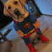 Jake Justice Photo 18