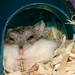 Sandy Cage Photo 10