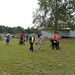 Carol Haskell Photo 20