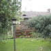 Angie Griffiths Photo 16
