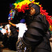 Paul Kerwin Photo 12