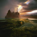 Rodney Lough Photo 4