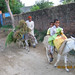 Mohammad Ashfaq Photo 32