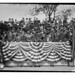 William Bunting Photo 34