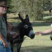Jody Parker Photo 13
