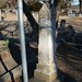 Ann Whitney Photo 19