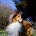 Sally Thompson Photo 14