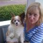Susan Meade Photo 37