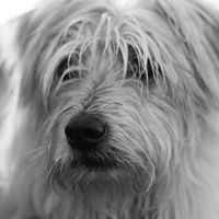 Debra Farley Photo 16