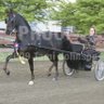 Pamela Wirth Photo 3
