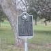 Mary Wilkins Photo 48