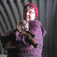 Carol Crowe Photo 9