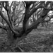 Dorothy Louis Photo 15