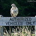 Terry Hawks Photo 13