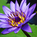 Marcia Moore Photo 10