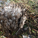 Craig Needham Photo 16
