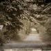 Edmund Tuttle Photo 3