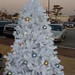 Carol Humphreys Photo 7