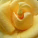 Julie Smiley Photo 14