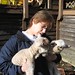 Lynn Lamb Photo 14