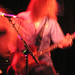 Jessica Benge Photo 15