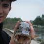 Steven Coleman Photo 21