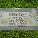 Terry Wells Photo 17