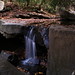 Jonathan Pyles Photo 7