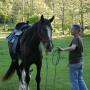Deborah Hogue Photo 20