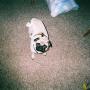 Gail Workman Photo 25