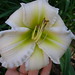 Nancy Britz Photo 3