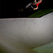 Mark Lockhart Photo 43