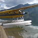 Walker Beavers Photo 5