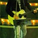 Charles Bongiorno Photo 6